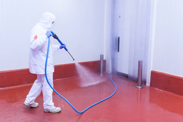 Best Driveway Pressure Washing  in Booker, TX